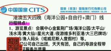 警惕假冒旅行社陷阱 如何识破与防范旅游诈骗